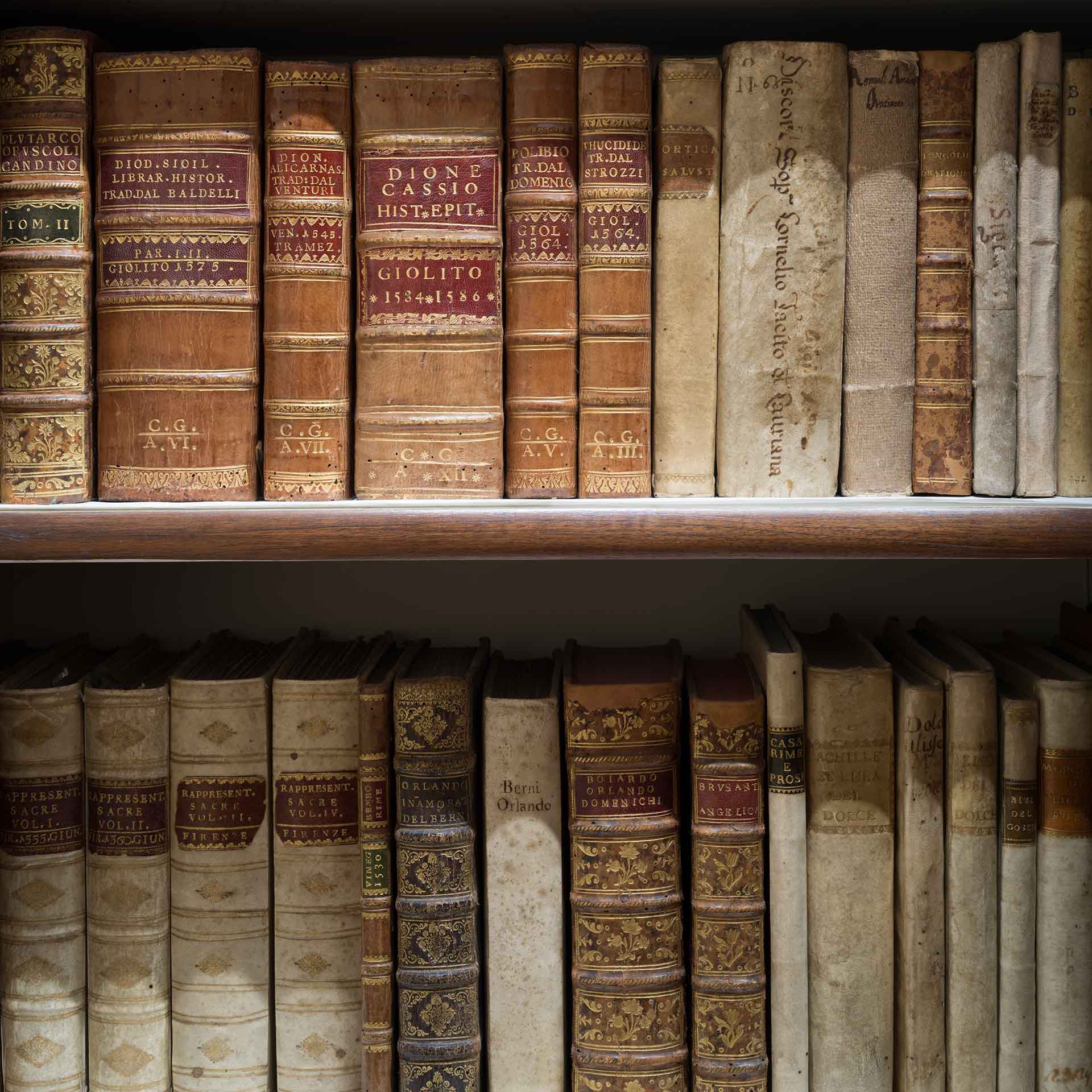 Una libreria piena di libri antichi con rilegature in pelle. I volumi mostrano segni di usura e titoli in lettere dorate incise.
