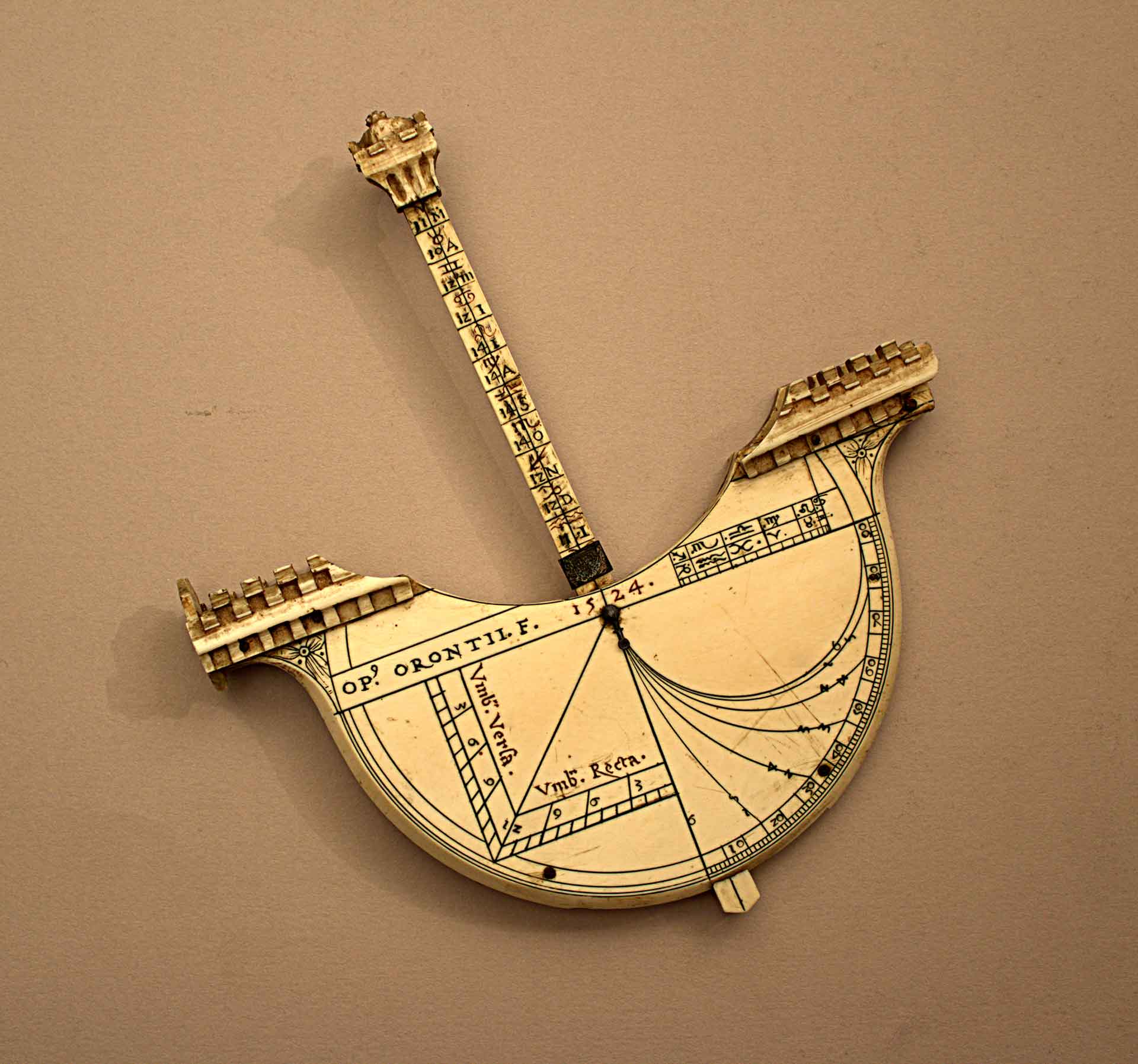 Navicula