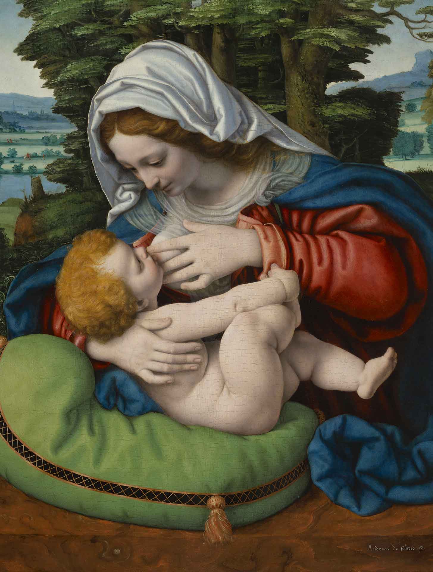 Madonna del cuscino verde di Andrea Solario