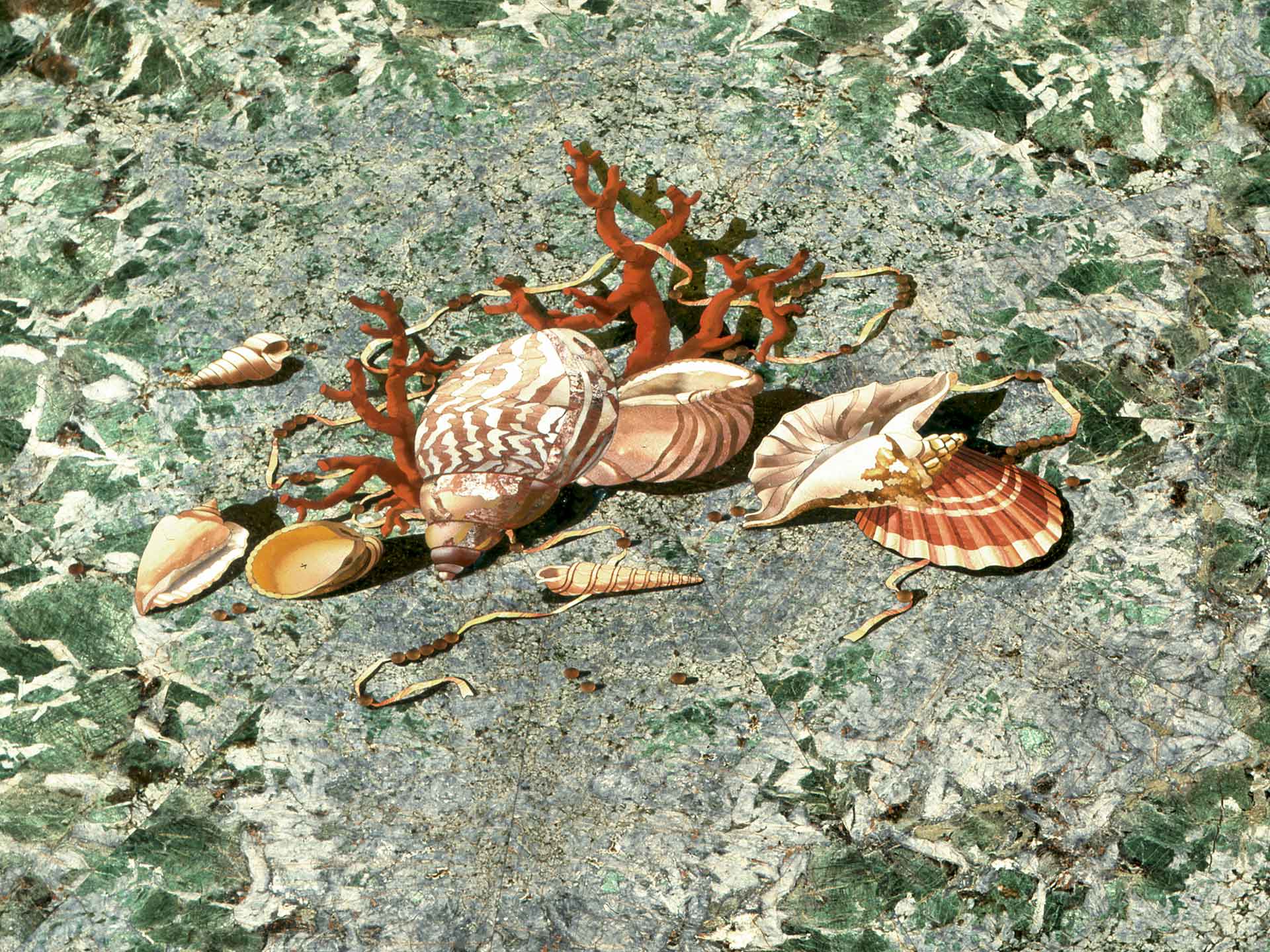 tavolo con conchiglie dettaglio